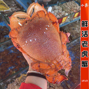 虎头蟹