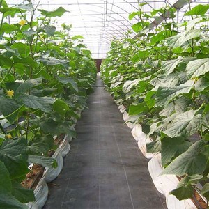 防草地布防草膜
