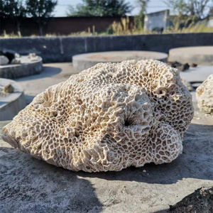 精挑大块珊瑚石10到30cm鱼缸造景一图一拍白色桌面摆件珊瑚骨景石