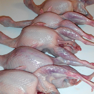 鹌鹑肉新鲜10只