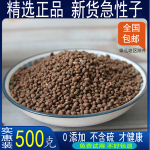 中药材急性子凤仙籽风仙花子指甲花子金凤花子金凤花籽 500克包邮