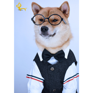 柴犬狗狗衣服帅西装领结英伦西服马甲背心套装结婚礼服宠物正装