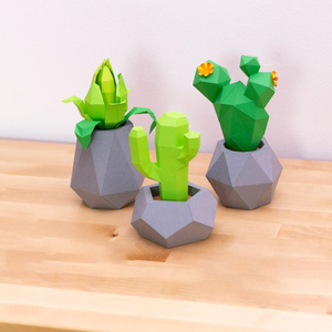 植物纸模摆件简单亲子大学生仿生3d立体构成手工diy折纸装饰品