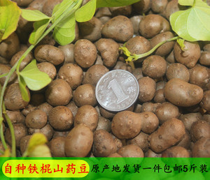 铁棍山药山药豆零余子山药蛋山药豆原产地发货 包邮5斤装