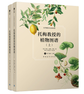 世界博物学经典图谱:托梅教授的植物图谱：全两册