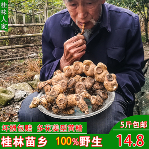 广西高山5-10年多花黄精野生生新鲜500g特级老虎姜中药材姜形黄精