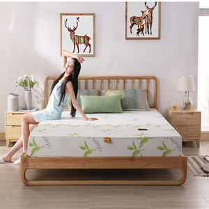 欢颜环保全山棕床垫经济型山棕非椰棕偏硬护脊植物弹性棕芯8cm款