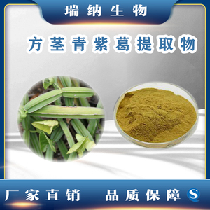 方茎青紫葛提取物 方茎青紫葛粉 水溶性方茎青紫葛浓缩粉精华
