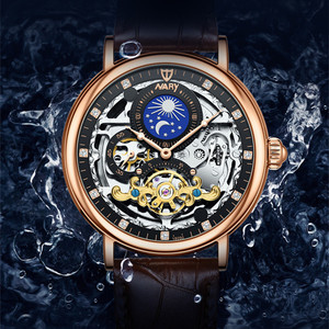 山东的风淘宝nary/耐瑞 新款商务手表男士休闲日月星辰镂空透底全