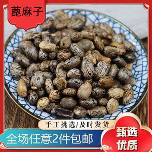 蓖麻子 500克 蓖麻仁大麻子 红皮蓖麻子 安国药材市场 2件包邮