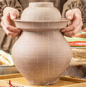 土坛子家用老式油罐家用带盖泥罐陶土瓷有盖土陶菜缸腌制陶罐复.