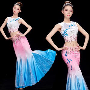 傣族服装成人女跳舞云南民族风修身艺考现代渐变鱼尾裙舞蹈演出服