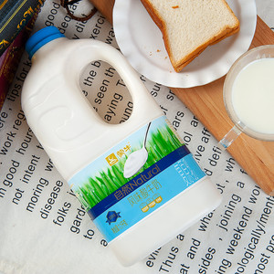 蒙牛大桶酸奶1.1kgx2桶/1可选风味发酵乳早餐奶水果捞量贩装早餐