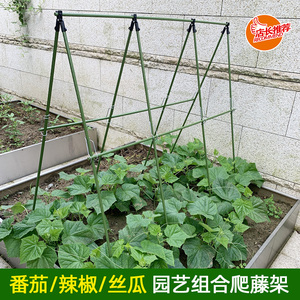 0066人付款天猫散装【蜜糖角*5斤】蜜糖角羊角蜜梅豆角河南特产特价
