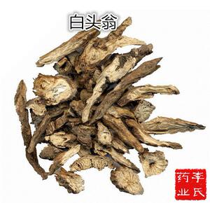 白头翁中药