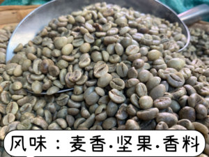 越南罗布斯塔16目水洗抛光16目咖啡生豆1kg包邮 意式拼配2022年
