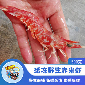 钓胃口活冻赤米虾野生海虾红虾仔须赤虾海鲜新鲜水产