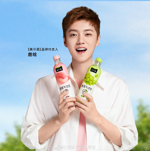 鹿晗同款可口可乐美汁源气泡水苹果蜜桃葡萄气泡饮480ml*5瓶整箱