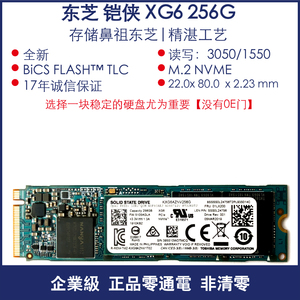 东芝铠侠 XG6 1T 2T 4T 256G M.2  4.0 NVME 2280  固态硬盘