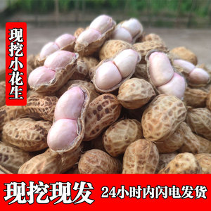 24年新鲜湿花生现挖现发泥花生带壳生花生农家粉皮红皮水煮小花生