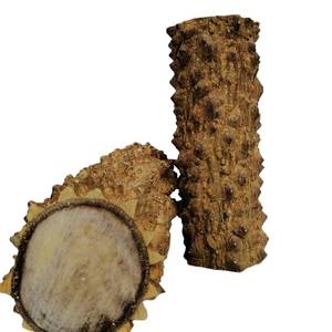 降龙木原木野生天然把玩收藏木料老料家居镇宅玄关装饰实木摆件