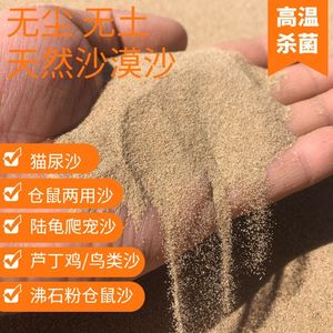 沙子细沙内蒙古纯天然沙漠沙子儿童细沙子鱼缸细沙无杂质龟砂浴沙