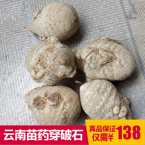 穿破石:云南苗药腾冲特产 苗家野生中草药中药中药材500克