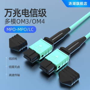 汤湖 8芯12芯24芯万兆多模40G模块适用8芯MPO-8MPO 12芯MPO-12MPO 24芯MPO-24MPO 3米集束光纤跳线