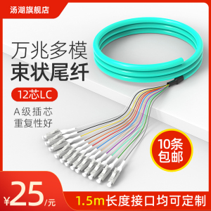 汤湖 电信级 LC FC SC ST 12芯束状尾纤OM4万兆多模OM3光纤跳线束状尾纤