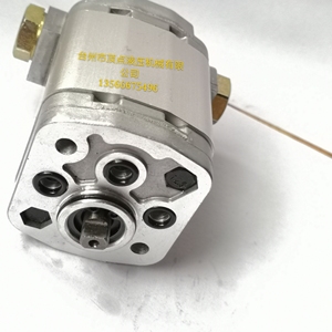 微型双向齿轮泵 精密液压泵  小型油泵   耐磨高压双向齿轮泵