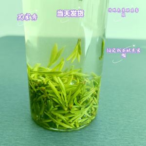 2024新茶绿茶信阳毛尖高山纯手工野茶自产自销明前特优栗香型