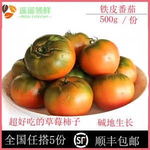 铁皮柿子500克草莓西红柿生吃即食皮脆汁多酸甜自然熟水果番茄