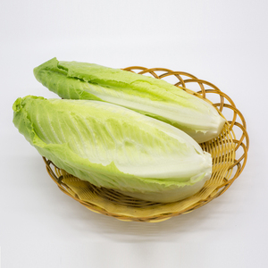 遥遥领鲜新鲜包心罗马生菜包罗精品特色蔬菜罗纹西餐沙拉500克