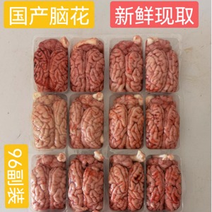 一级猪脑国产新鲜猪脑花火锅熟食烧烤冷冻土猪脑花商用猪脑96副