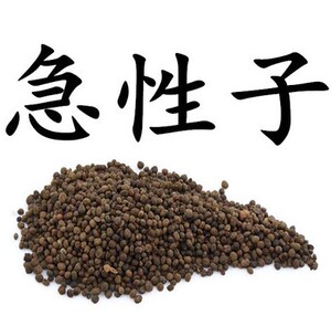 中药材 急性子 凤仙花子 指甲花 籽 指甲花籽 中草药 500克包邮