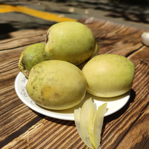 云南新鲜野生酸木瓜临沧木瓜孕妇水果泡酒煮菜闻香2斤包邮送蘸水