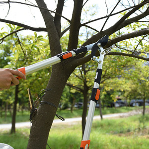 剪枝剪刀果树修枝专用树枝剪园林修剪神器强力修大力粗枝大枝省力