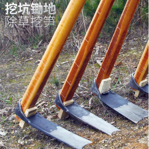 探笋神器