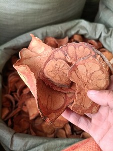 九龙藤 过岗龙龙须藤新鲜靓货中药材市场野生新货500g包邮 热卖