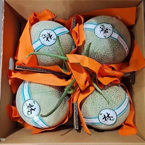 海南林氏梅陇网纹蜜瓜一藤一瓜 软心蜜瓜软糯香甜4粒装多省包邮