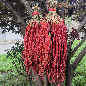 特香辣贵州大方特产皱皮辣椒之乡二荆条干辣椒毕节线椒干辣子包邮