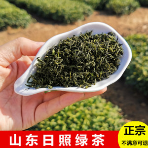 正宗日照绿茶2024新茶板栗浓香耐冲泡沙口香茶叶500g散装山东特产
