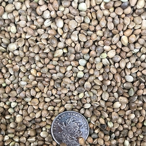 精选优质小麻子 50斤装