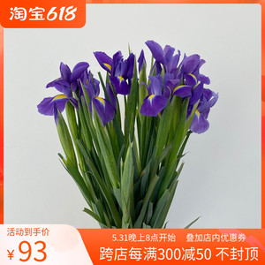 好品质进口鸢尾花鲜切花 蓝色花朵 花苞发货优雅美丽北京同城速递