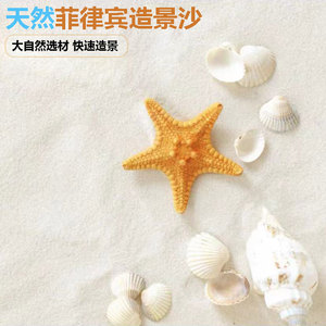 砂滨通信/沙滨通信 漫画1 2部 于海底沉眠的花束 日语 海底囚人10人