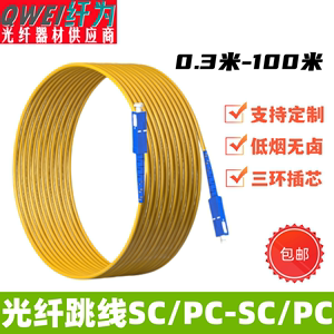 光纤跳线SC-SC单模短跳线0.3/1/2/3米网络级尾纤跳线光线5/10米