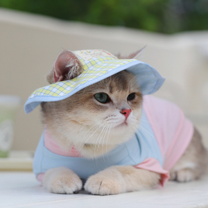 猫咪帽子夏季薄款柯基西高地夏天遮阳套装凉感宠物衣服狗狗凉凉衣