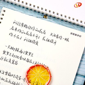 谢依霖字帖字体谢依麟男女生霸气成人大学生漂亮网红硬笔书法手写