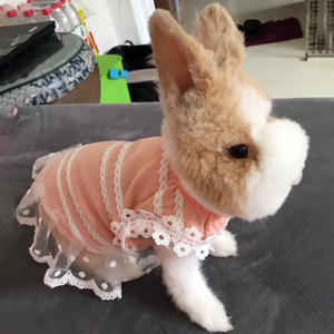 宠物小兔子衣服可爱侏儒兔垂耳兔安哥拉兔服饰小型用品春夏秋裙子