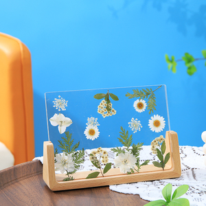 放干花的相框diy摆台手工创意押花植物标本6寸实木画框立体材料包